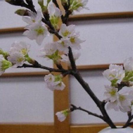 Wakaba Ryokan / Vacation Stay 29370 Sakata Εξωτερικό φωτογραφία